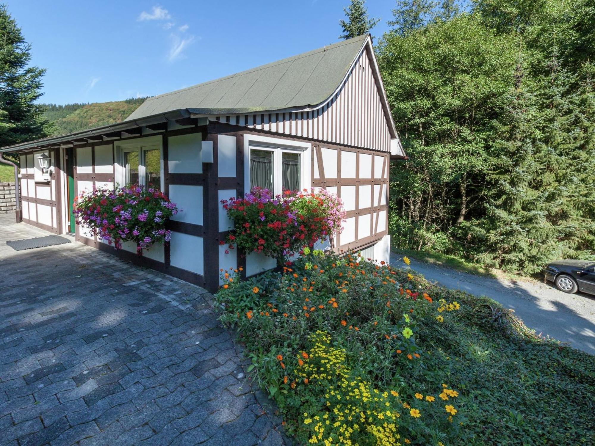 Modern Apartment In Sauerland With Balcony Schmallenberg Exteriör bild